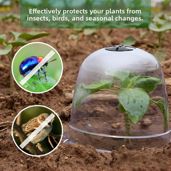 Κάλυμμα σπορόφυτων — πλαστική κατασκευή, με γειωτικά καρφιά, κατάλληλο για εξωτερική κηπουρική