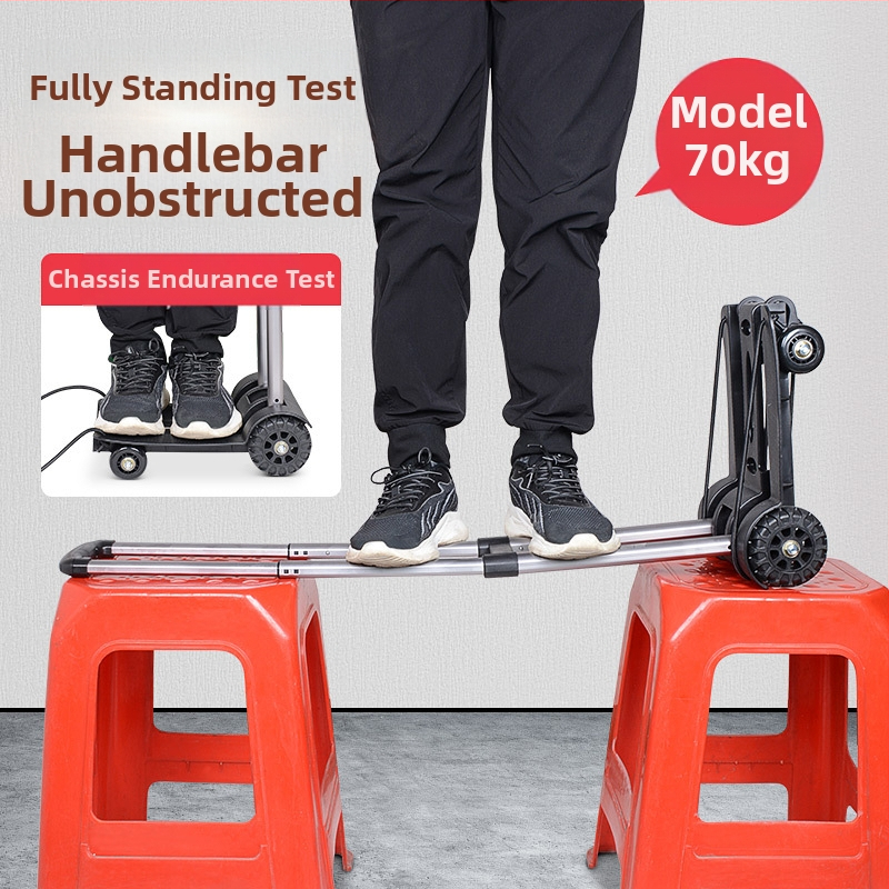 Четириколесна количка; сгъваема и преносима; алуминиево-пластмасова конструкция; максимален товар 40 кг; Easy Card