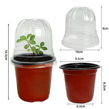 Πλαστικός δίσκος σπορόφυτων, τύπου δαπέδου, κατάλληλος για οικιακή κηπουρική