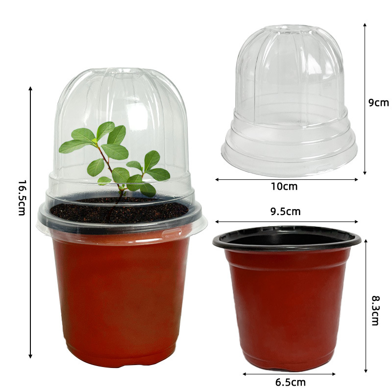 Tavă plastică pentru răsaduri, tip podea, pentru grădină de acasă