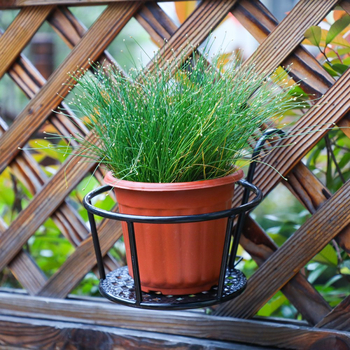 Raft de flori pentru balcon din fier forjat, decor suspendat pentru grădină — Zhongxin Hardware (Personalizare disponibilă)