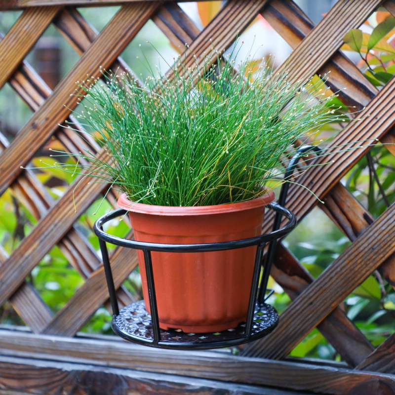 Raft de flori pentru balcon din fier forjat, decor suspendat pentru grădină — Zhongxin Hardware (Personalizare disponibilă)