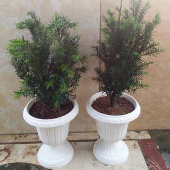 Γλάστρα για λουλούδια με βάση δαπέδου, ευρωπαϊκού στυλ ρετρό ρωμαϊκή κολόνα, για οικιακή κηπουρική, μάρκα Camphor