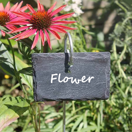 Metalo vielos stalinis laikiklis augalų etiketėms sodui, 1 lygis, galvanizuotas rėmas, judantis