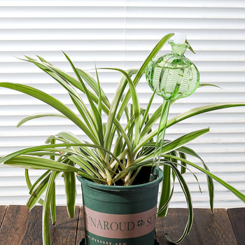 Αυτόματο εργαλείο ποτίσματος φυτών, διαφανές γυάλι βοριοσιλικό, στάγδην άρδευση, φινίρισμα με βούρτσα