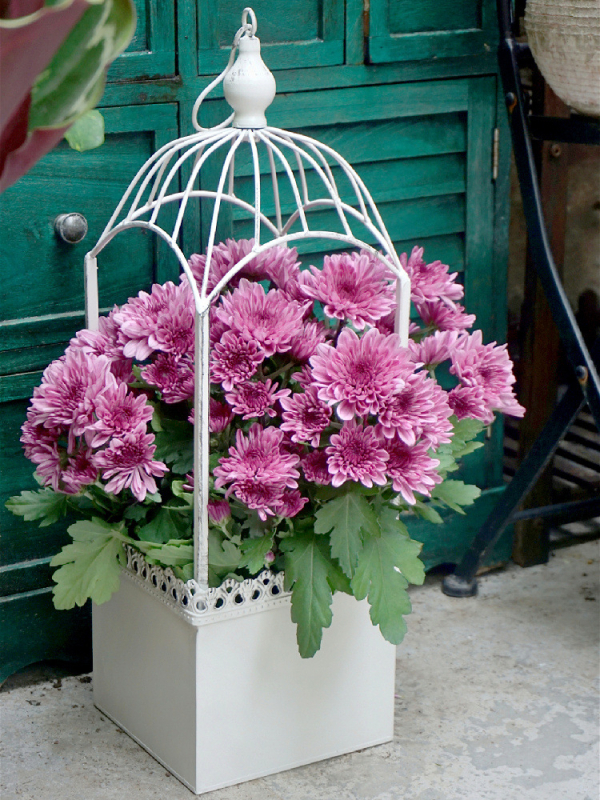 Lauko pakabinamas gėlių krepšys iš kalvio plieno, dekoratyvinis augalų laikiklis sodui ir balkonui