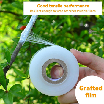 Φιλμ εμβολιασμού φρούτων δέντρων – διαφανές αυτοκολλητικό περιτυλικτικό PE φιλμ για κηποτεχνία