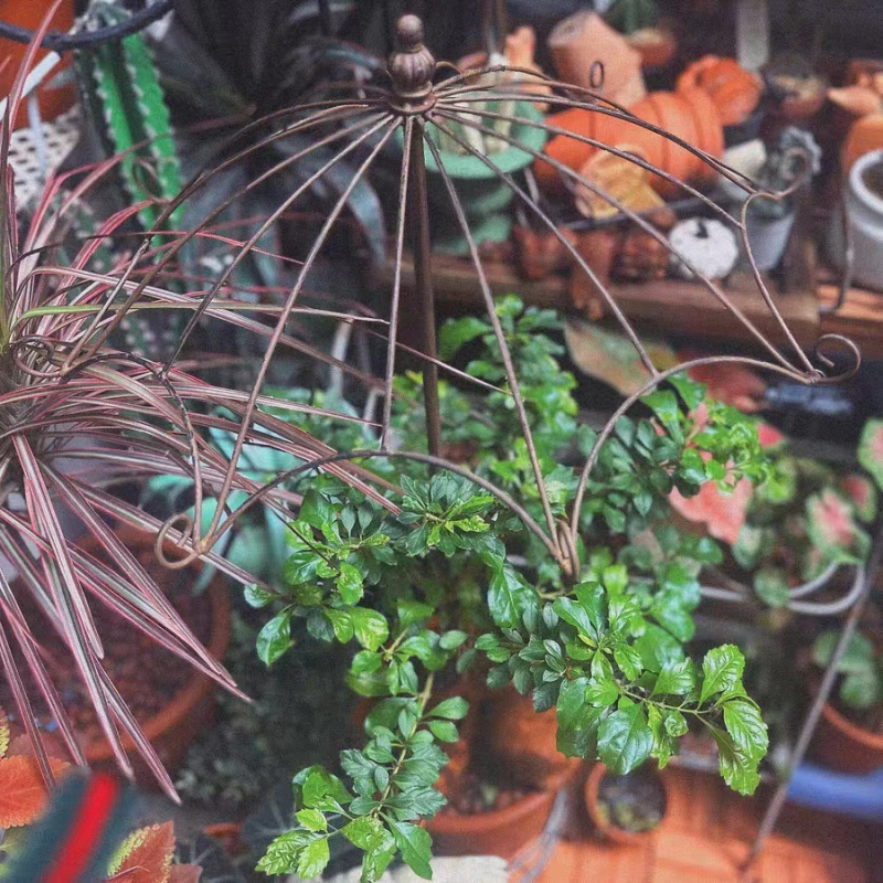 Željezni stalak za cvijeće za vanjsku upotrebu – podni ukras za vrt i balkon