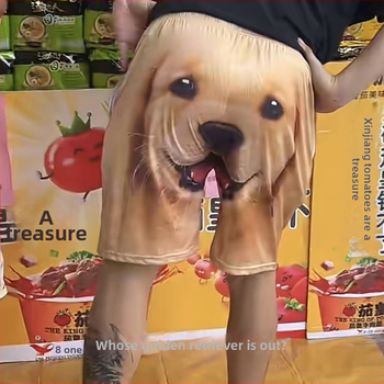 Ανδρικά σορτς παραλίας με 3D εκτύπωση κεφαλής Γκόλντεν Ριτρίβερ, χαλαρή καλοκαιρινή διάθεση (Ύφασμα: πολυεστερ-βαμβάκι; Κύριο ύφασμα: 70% πολυεστέρας; Μήκος: ημιμήκης; Σχήμα: ίσια γραμμή; Στυλ: preppy)