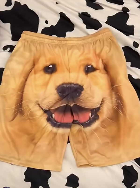 Șorturi de plajă pentru bărbați cu imprimeu 3D cap de Golden Retriever (Material: amestec poliester-bumbac; Material principal: 70% poliester; Lungime: jumătate de lungime; Croială: dreaptă; Stil: preppy)
