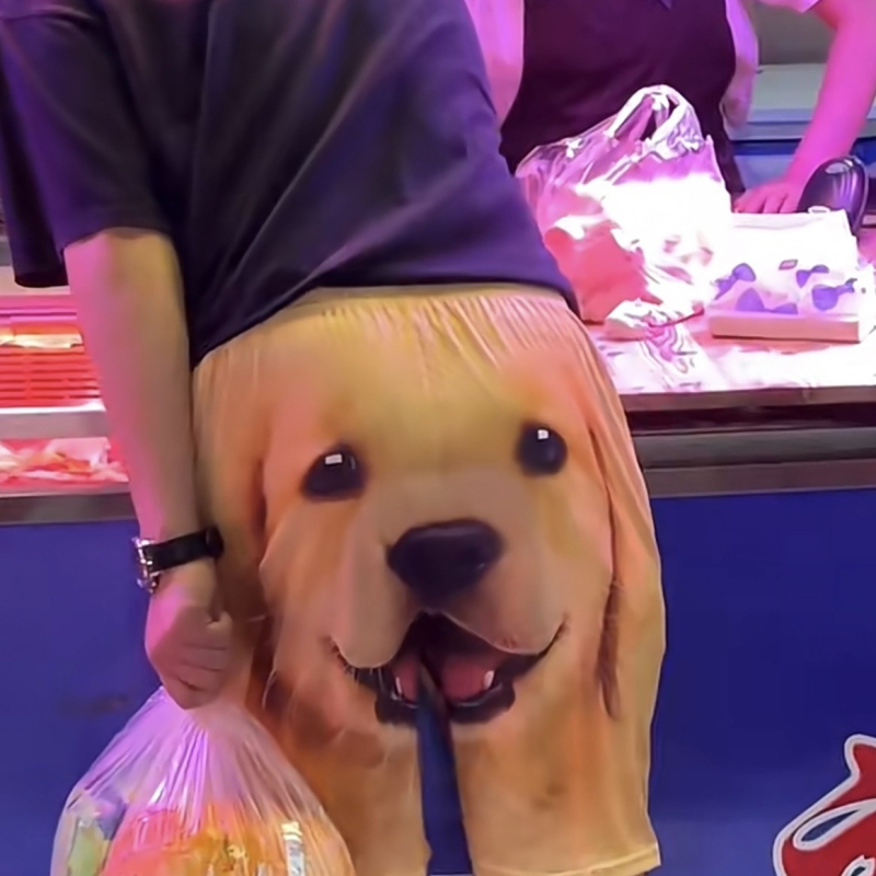 Șorturi de plajă pentru bărbați cu imprimeu 3D cap de Golden Retriever (Material: amestec poliester-bumbac; Material principal: 70% poliester; Lungime: jumătate de lungime; Croială: dreaptă; Stil: preppy)