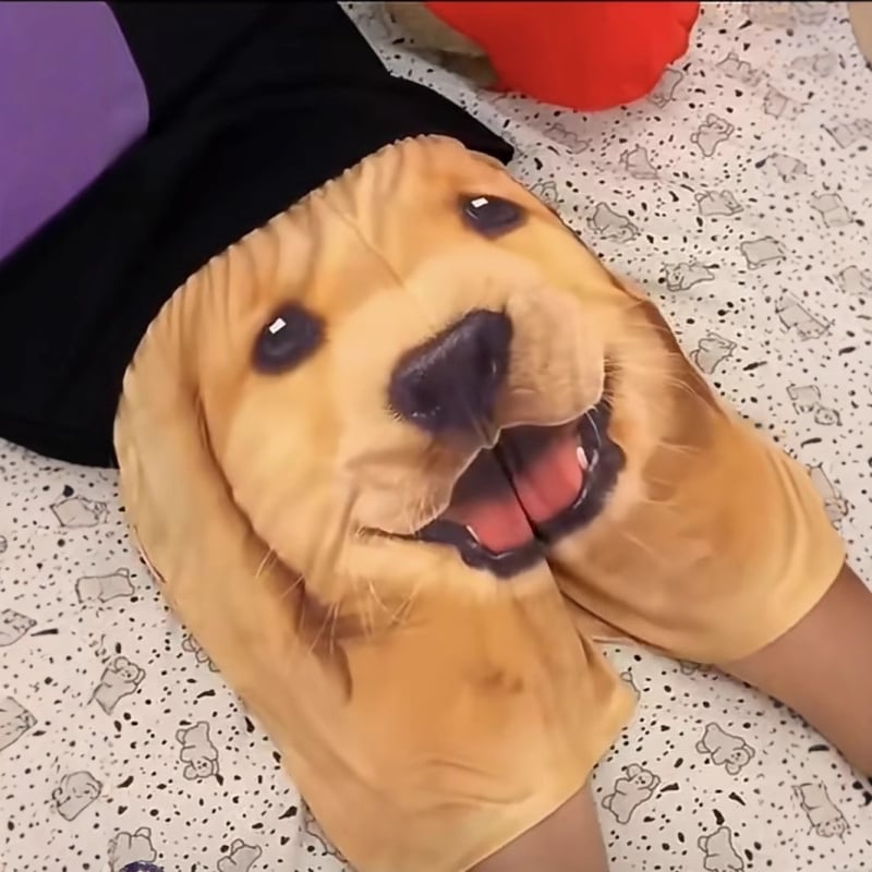 Șorturi de plajă pentru bărbați cu imprimeu 3D cap de Golden Retriever (Material: amestec poliester-bumbac; Material principal: 70% poliester; Lungime: jumătate de lungime; Croială: dreaptă; Stil: preppy)