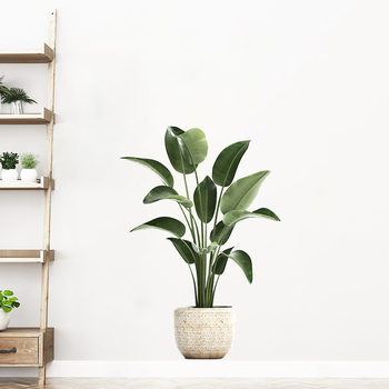 Τοίχος αυτοκόλλητο με φυτικό μοτίβο σε νορδικό στυλ, αυτοκόλλητο, αδιάβροχο PVC, 1 τεμάχιο, κατάλληλο για σαλόνι, υπνοδωμάτιο και γραφείο