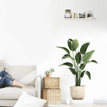 Τοίχος αυτοκόλλητο με φυτικό μοτίβο σε νορδικό στυλ, αυτοκόλλητο, αδιάβροχο PVC, 1 τεμάχιο, κατάλληλο για σαλόνι, υπνοδωμάτιο και γραφείο