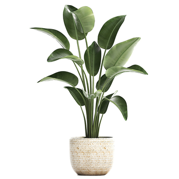 Τοίχος αυτοκόλλητο με φυτικό μοτίβο σε νορδικό στυλ, αυτοκόλλητο, αδιάβροχο PVC, 1 τεμάχιο, κατάλληλο για σαλόνι, υπνοδωμάτιο και γραφείο