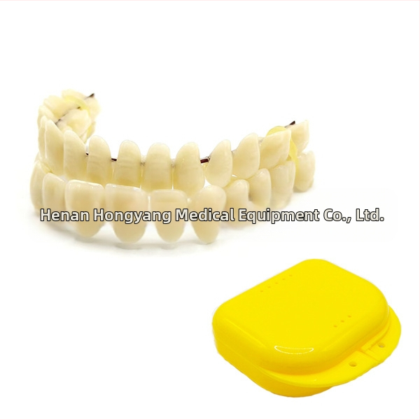 Zobu protēžu mācību modelis — zobu arkas komplekts, iekļauta zobu kastīte, Zhongfeng zīmols
