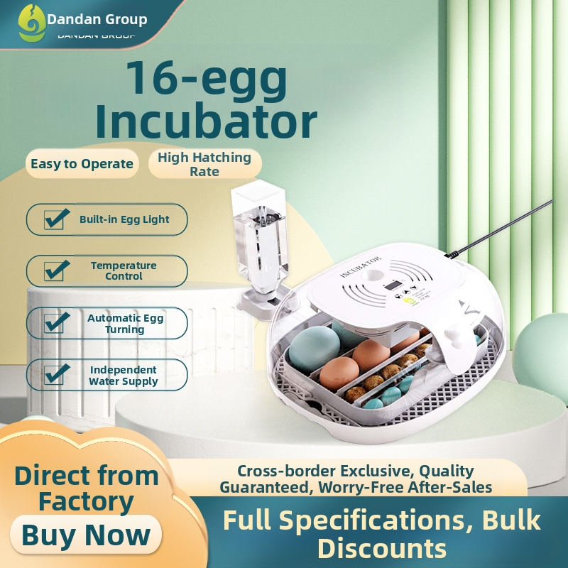 Tojás inkubátor tojótyúkok számára, 16 tojás kapacitás, átlátszó fedél, beépített tojásellenőrzés, csendes kikelés