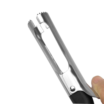 Apple koreris iš nerūdijančiojo plieno, šiuolaikinis minimalistinis stilius, prekės ženklas cemeja