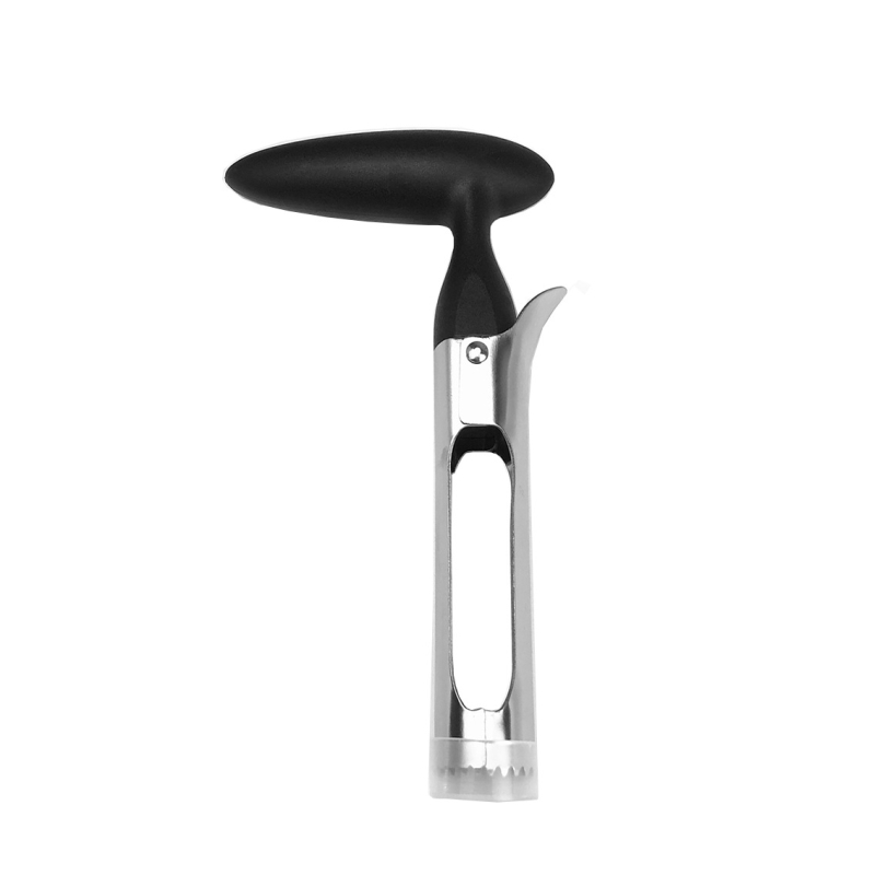 Apple koreris iš nerūdijančiojo plieno, šiuolaikinis minimalistinis stilius, prekės ženklas cemeja