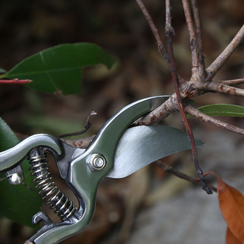 Fili Πολυλειτουργικά κλαδευτήρια κήπου – εργονομικός σχεδιασμός που εξοικονομεί προσπάθεια, αντιολισθητική λαβή, λεπίδες από ανοξείδωτο ατσάλι, βαριά κοπή παχιών κλαδιών, για οικιακή κηπουρική