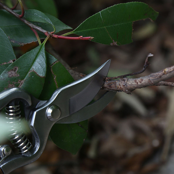 Fili Πολυλειτουργικά κλαδευτήρια κήπου – εργονομικός σχεδιασμός που εξοικονομεί προσπάθεια, αντιολισθητική λαβή, λεπίδες από ανοξείδωτο ατσάλι, βαριά κοπή παχιών κλαδιών, για οικιακή κηπουρική