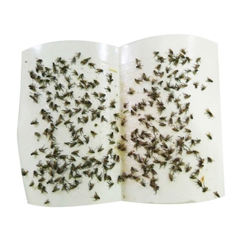 Lipnus popieriaus gaudyklė musėms — stiprus klijavimas, nekenksmingas popierius, skirtas namų naudojimui