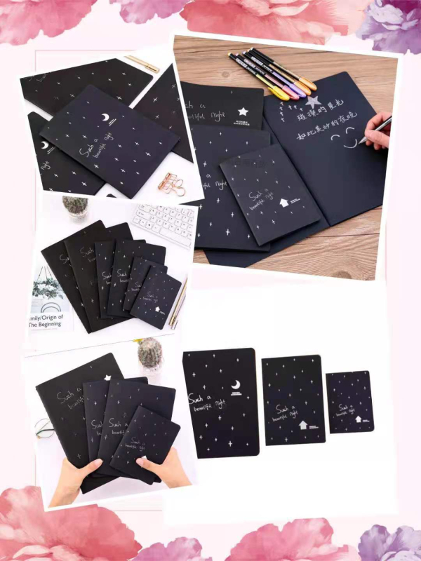 Jurnal, model 356, copertă: Hârtie, legare: Riding, 50 de pagini