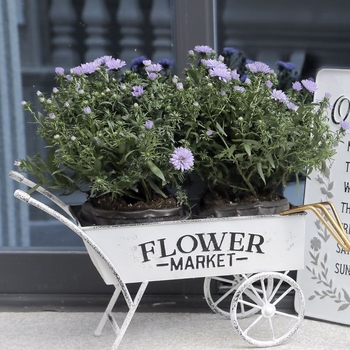 Γλάστρα από σφυρήλατο σίδερο με βάση δαπέδου, αγροτικό στυλ διακοσμητικό για οικιακή καλλιέργεια κήπων