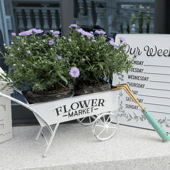 Γλάστρα από σφυρήλατο σίδερο με βάση δαπέδου, αγροτικό στυλ διακοσμητικό για οικιακή καλλιέργεια κήπων