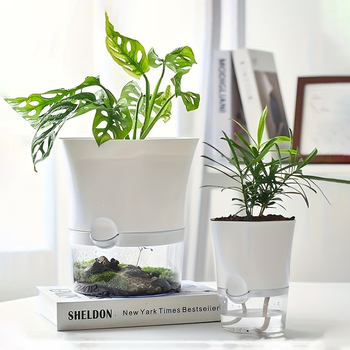 Κοντέινερ Ελέγχου Ριζών, Πλαστικός Γλάστρα Γραφείου Με Αυτοπότισμα, Κορεάτικου Στυλ