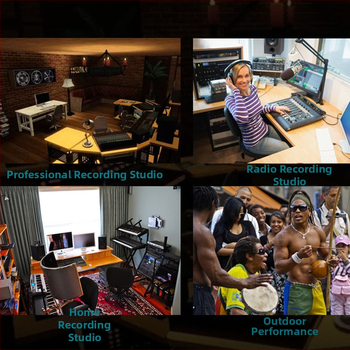 Αντιανεμικό κάλυμμα μικροφώνου με βαμβάκι απορροφητικό ήχου για φορητό στούντιο εγγραφής, μοντέλο C2, από Voice Converter