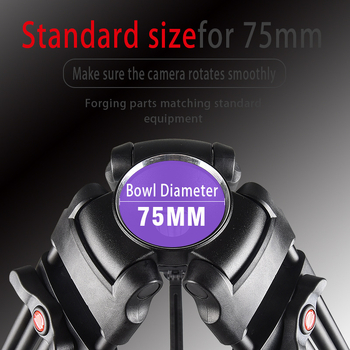 Lovozzen LDV-E01 Τρίποδο Γάμου για Φωτογράφηση με Υδραυλικό PTZ, Αλουμινίου Κράμα, 3 Τμήματα, Μέγιστο Φορτίο 10 kg, Ύψος 180 cm, Με Πλάκα Γρήγορης Απελευθέρωσης