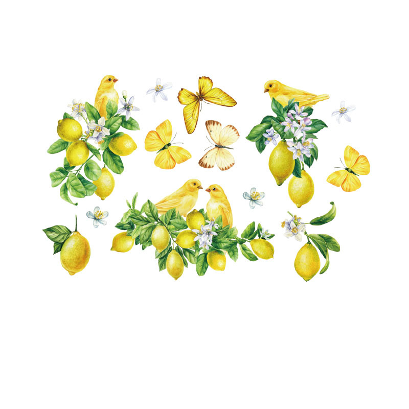 Autocolante PVC cu plantă de lămâie pentru living, dormitor, birou, bucătărie și baie – decorațiuni adezive de perete, stil modern minimalist