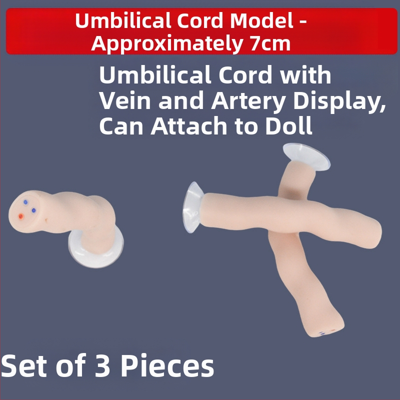 Модел на новородена пъпна връв и плацента с дисплей на венозни и артериални съдове, свързва се с кукла за обучителни цели, подходящ за лица над 14 години