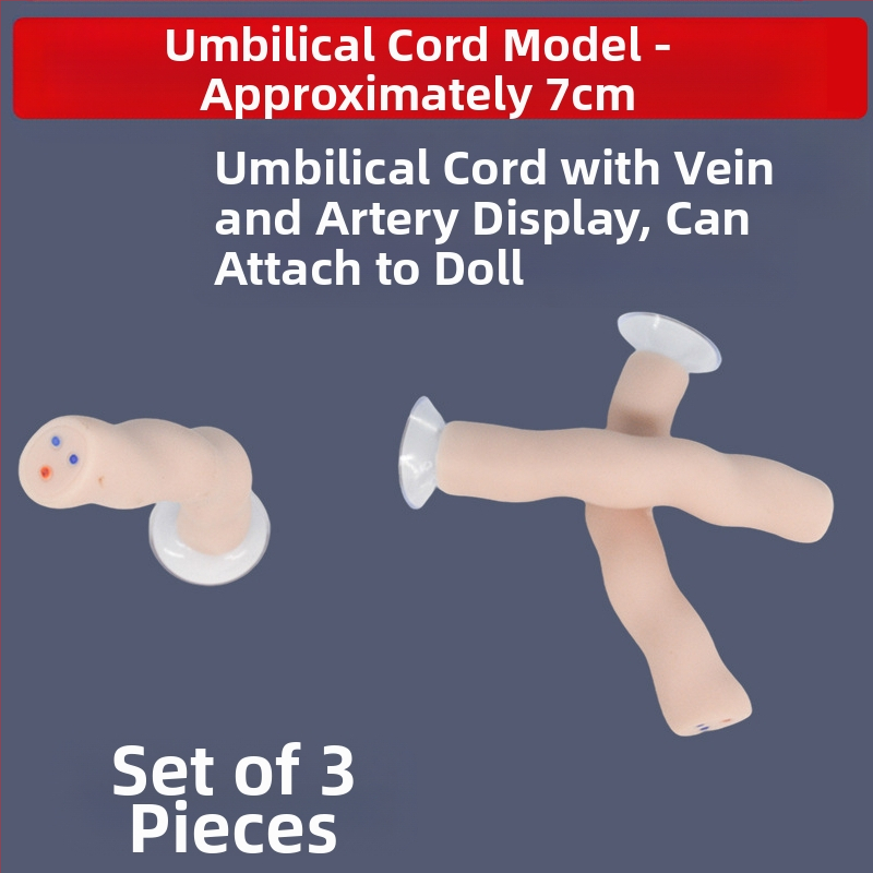 Zīdaiņa nabassaites un placentas modelis ar vēnu un artēriju atveidojumu, savienojams ar lelli mācību nolūkos, piemērots cilvēkiem virs 14 gadiem