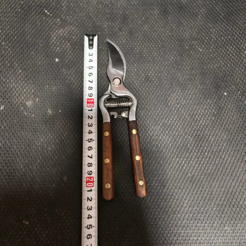 Ψαλίδια κλαδέματος με ενσωματωμένα κλαδευτήρια κήπου για φρουτόδεντρα