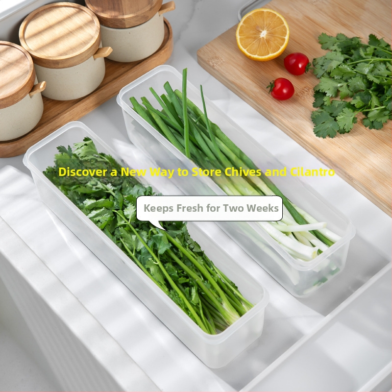 Кутия за свежест в хладилник, запечатана, произход Zhejiang, материал: Друг