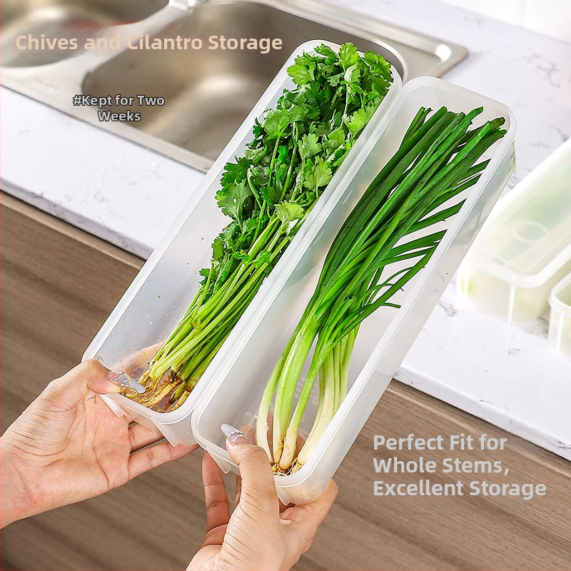 Кутия за свежест в хладилник, запечатана, произход Zhejiang, материал: Друг