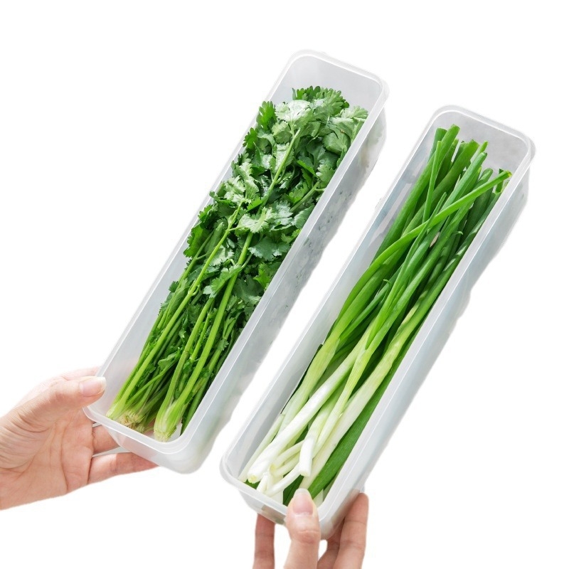 Кутия за свежест в хладилник, запечатана, произход Zhejiang, материал: Друг