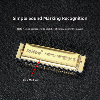 FeiFan ZX-10 хармоника за начинаещи, блюз диатонична в C; 10 дупки, златно покритие на капачката, звук от смола; подходяща за деца 7–14.