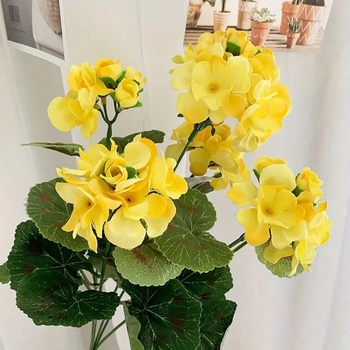 Begonija šilkinė gėlė – stilizavimas, lauko naudojimas, fotografijos rekvizitas, namų dekoras