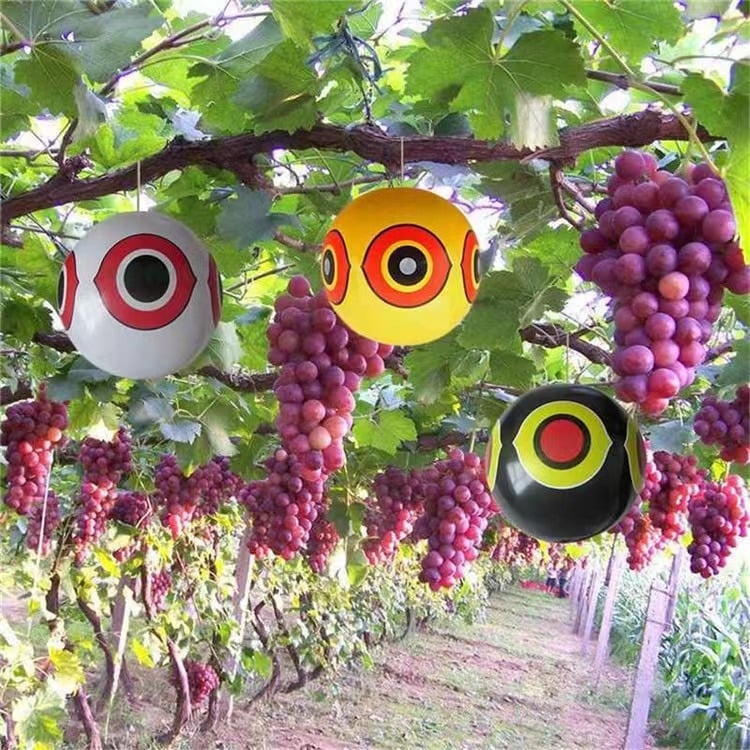 Aizpūšams PVC acu-bumbas balons putnu atturēšanai – pludmale, saimniecība un dārzi