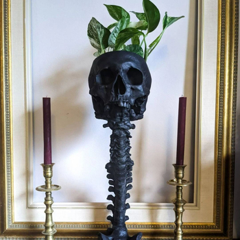 Σετ γλάστρας με κρανίο και βάση για τη σπονδυλική στήλη, ρητίνη, μάρκα Red Summer, μοντέρνο μινιμαλιστικό στυλ, συσκευασία: χαρτονέν κουτί