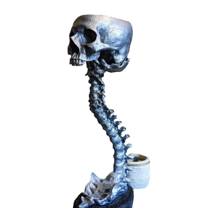 Set de ghivece cu craniu și suport pentru coloană, rășină, Brand Red Summer, stil modern minimalist, ambalaj carton