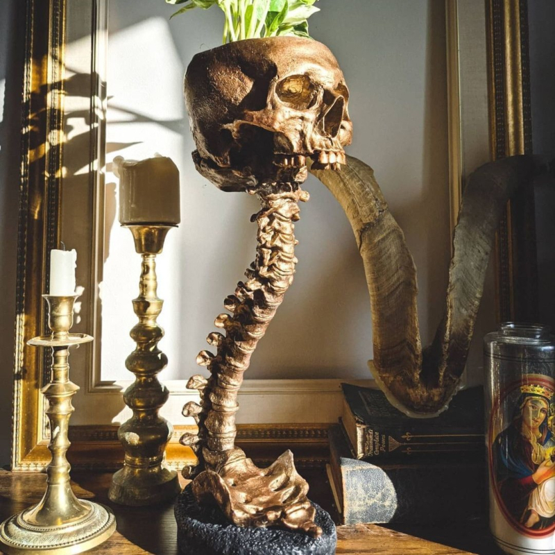 Set de ghivece cu craniu și suport pentru coloană, rășină, Brand Red Summer, stil modern minimalist, ambalaj carton