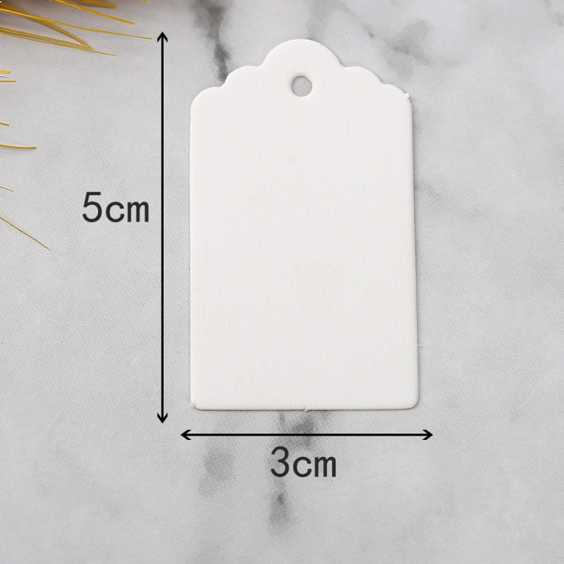 Kraft popieriaus etikečių rinkinys su 100 tuščių etikečių ir 20 m kanapių virvelių (Medžiaga: Popierius; Spausdinimas: Be spausdinimo; Turinys: 100 etikečių + 20 m virvelės)