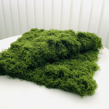 Τεχνητός βρύος με μεταξωτό δίχτυ για μπονσάι και διακόσμηση στο σπίτι