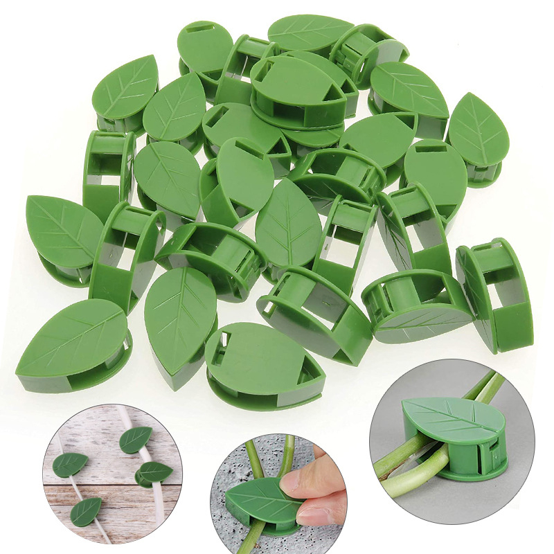 Fixator pentru plante cățărătoare – din plastic, clips autoadezive pentru fixare pe perete – marcă: Altă – nu se importă