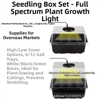 Δίσκος σπορόφυτων από πλαστικό — διαπερατός αερισμός, διαφανής, ανθεκτικός στη διάβρωση και στη φθορά, εξοικονομεί νερό· κατάλληλος για επιτραπέζια ή πάτωμα χρήση