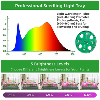 Κουτί σπορόφυτων, πλαστικό, για σπορόφυτα, Chengguan